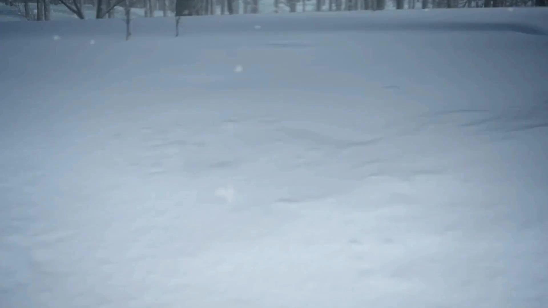 cool_clip-10x-RIFE-RIFE4.0-239.7602fps.mp4